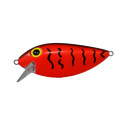 Thin Fish